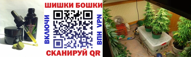 KRAKEN tor  даркнет сайт  Тырныауз  Cannafood конопля 