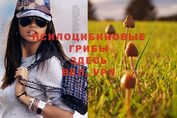 MESCALINE Арсеньев