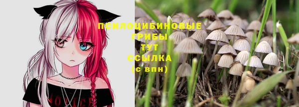 а пвп мука Ростов